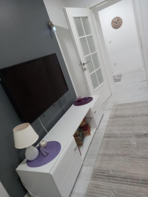 Aine apartman u centru grada